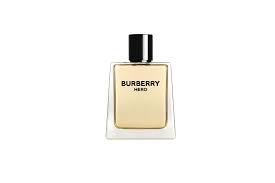 Burberry Hero for Men 100ml